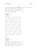 THYMIDYLATE KINASE FUSIONS AND USES THEREOF diagram and image