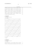 THYMIDYLATE KINASE FUSIONS AND USES THEREOF diagram and image