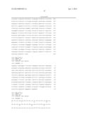 THYMIDYLATE KINASE FUSIONS AND USES THEREOF diagram and image