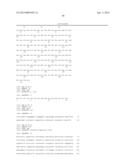 THYMIDYLATE KINASE FUSIONS AND USES THEREOF diagram and image