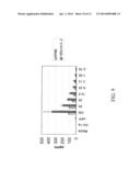 TUMOR SUPPRESSION USING HUMAN PLACENTAL PERFUSATE AND HUMAN     PLACENTA-DERIVED INTERMEDIATE NATURAL KILLER CELLS diagram and image