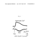 GLUTAMATE RELEASE FROM ASTROCYTE diagram and image