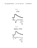 GLUTAMATE RELEASE FROM ASTROCYTE diagram and image