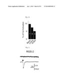 GLUTAMATE RELEASE FROM ASTROCYTE diagram and image