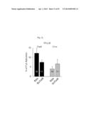 GLUTAMATE RELEASE FROM ASTROCYTE diagram and image