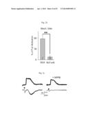 GLUTAMATE RELEASE FROM ASTROCYTE diagram and image