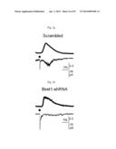 GLUTAMATE RELEASE FROM ASTROCYTE diagram and image