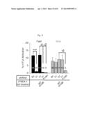 GLUTAMATE RELEASE FROM ASTROCYTE diagram and image