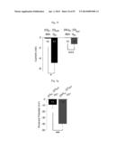 GLUTAMATE RELEASE FROM ASTROCYTE diagram and image