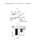 GLUTAMATE RELEASE FROM ASTROCYTE diagram and image