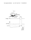 GLUTAMATE RELEASE FROM ASTROCYTE diagram and image