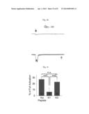 GLUTAMATE RELEASE FROM ASTROCYTE diagram and image