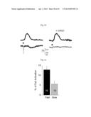 GLUTAMATE RELEASE FROM ASTROCYTE diagram and image