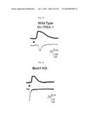 GLUTAMATE RELEASE FROM ASTROCYTE diagram and image