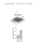 GLUTAMATE RELEASE FROM ASTROCYTE diagram and image