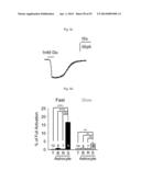 GLUTAMATE RELEASE FROM ASTROCYTE diagram and image