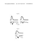 GLUTAMATE RELEASE FROM ASTROCYTE diagram and image