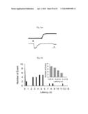 GLUTAMATE RELEASE FROM ASTROCYTE diagram and image