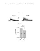 GLUTAMATE RELEASE FROM ASTROCYTE diagram and image