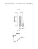 GLUTAMATE RELEASE FROM ASTROCYTE diagram and image