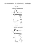 GLUTAMATE RELEASE FROM ASTROCYTE diagram and image