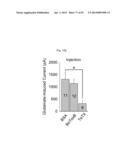 GLUTAMATE RELEASE FROM ASTROCYTE diagram and image