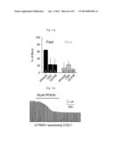 GLUTAMATE RELEASE FROM ASTROCYTE diagram and image