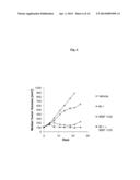 PHARMACEUTICAL COMBINATIONS COMPRISING DUAL ANGIOPOIETIN-2 / DLL4 BINDERS     AND ANTI-VEGF AGENTS diagram and image