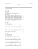 MAGEA3 BINDING ANTIBODIES diagram and image