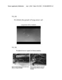 PROCESS OF AFOD AND AFCC AND MANUFACTURING AND PURIFICATION PROCESSES OF     PROTEINS diagram and image