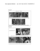 PROCESS OF AFOD AND AFCC AND MANUFACTURING AND PURIFICATION PROCESSES OF     PROTEINS diagram and image