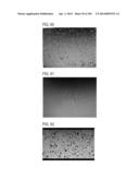 PROCESS OF AFOD AND AFCC AND MANUFACTURING AND PURIFICATION PROCESSES OF     PROTEINS diagram and image