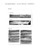 PROCESS OF AFOD AND AFCC AND MANUFACTURING AND PURIFICATION PROCESSES OF     PROTEINS diagram and image