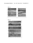 PROCESS OF AFOD AND AFCC AND MANUFACTURING AND PURIFICATION PROCESSES OF     PROTEINS diagram and image