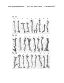 PROCESS OF AFOD AND AFCC AND MANUFACTURING AND PURIFICATION PROCESSES OF     PROTEINS diagram and image