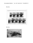 PROCESS OF AFOD AND AFCC AND MANUFACTURING AND PURIFICATION PROCESSES OF     PROTEINS diagram and image