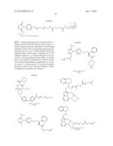 Chemically Programmed Vaccination diagram and image