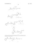 Chemically Programmed Vaccination diagram and image