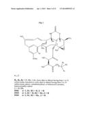 Anti-Integrin Immunoconjugates, Methods and Uses diagram and image