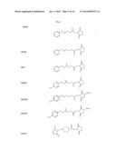 Anti-Integrin Immunoconjugates, Methods and Uses diagram and image