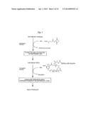 Anti-Integrin Immunoconjugates, Methods and Uses diagram and image