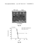 COMPOSITIONS AND METHODS FOR GLIOBLASTOMA TREATMENT diagram and image