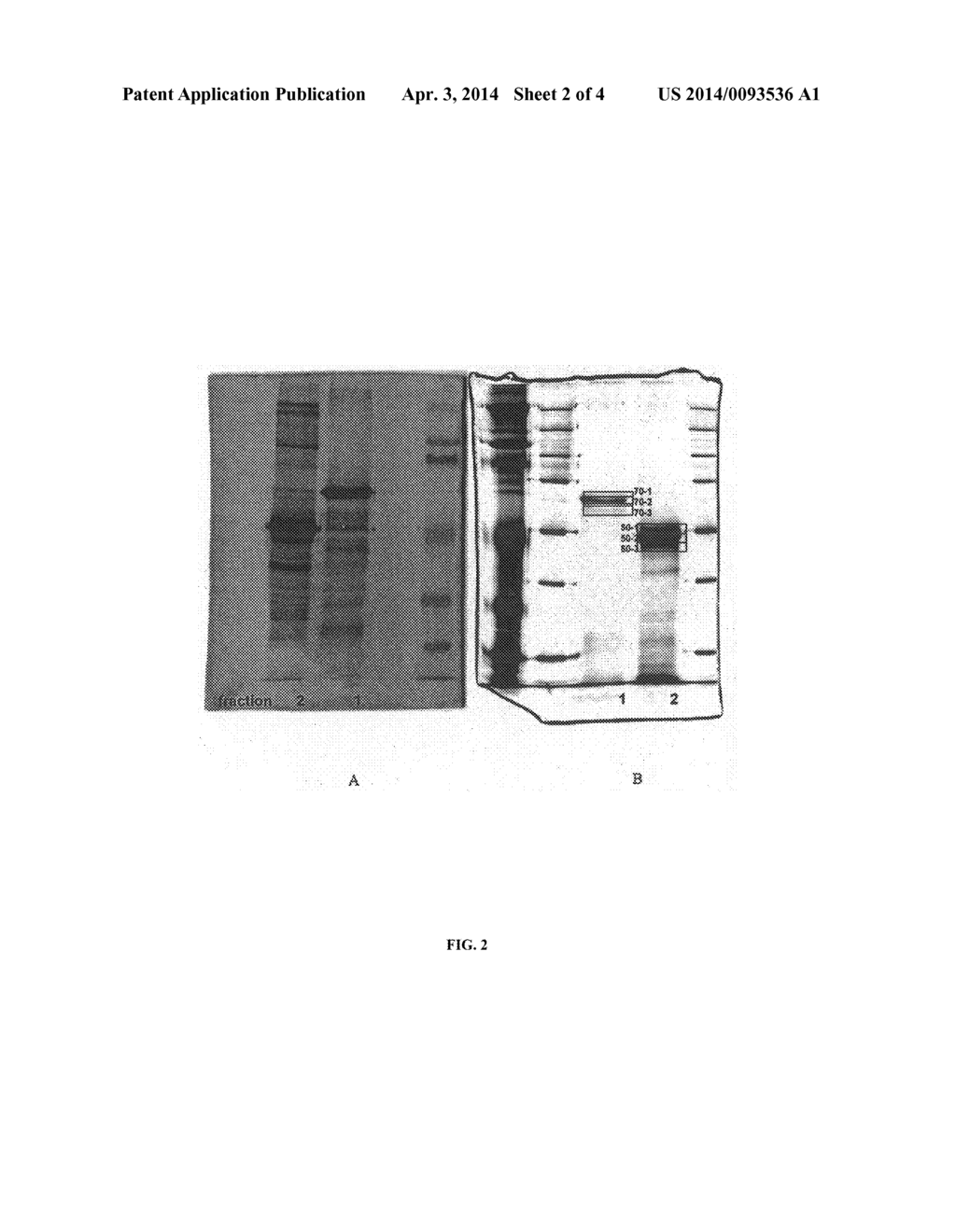 Compositions And Methods For Treatment Of Microbial Infections - diagram, schematic, and image 03