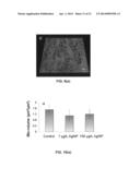 Nanoparticle - Biocide Treatment of Biofilms diagram and image