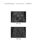 Nanoparticle - Biocide Treatment of Biofilms diagram and image