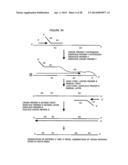 Cross priming amplification of target nucleic acids diagram and image