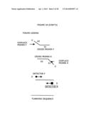 Cross priming amplification of target nucleic acids diagram and image