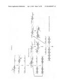 Cross priming amplification of target nucleic acids diagram and image