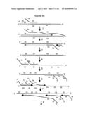 Cross priming amplification of target nucleic acids diagram and image