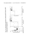 METHODS FOR DIAGNOSIS, PROGNOSIS AND METHODS OF TREATMENT diagram and image